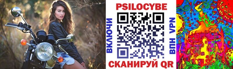 Купить  Екатеринбург  Галлюциногенные грибы GOLDEN TEACHER 